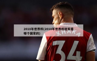 2018年世界杯(2018年世界杯冠军是哪个国家的)