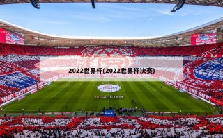 2022世界杯(2022世界杯决赛)