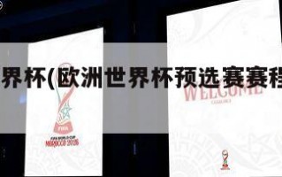 欧洲世界杯(欧洲世界杯预选赛赛程表2024)