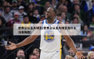 世界公认五大球王(世界公认五大球王为什么没有梅西)