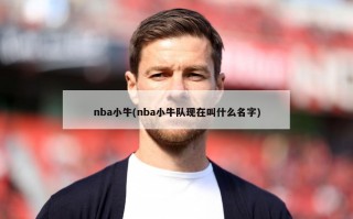 nba小牛(nba小牛队现在叫什么名字)