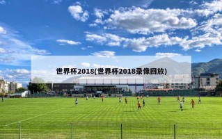 世界杯2018(世界杯2018录像回放)